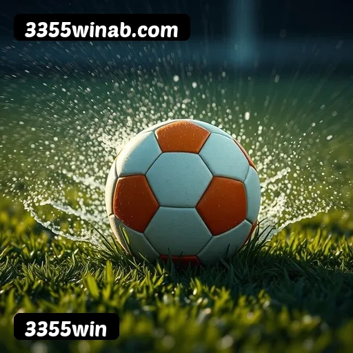 Recursos Exclusivos do App 3355win - Modo Offline, Login Biométrico
